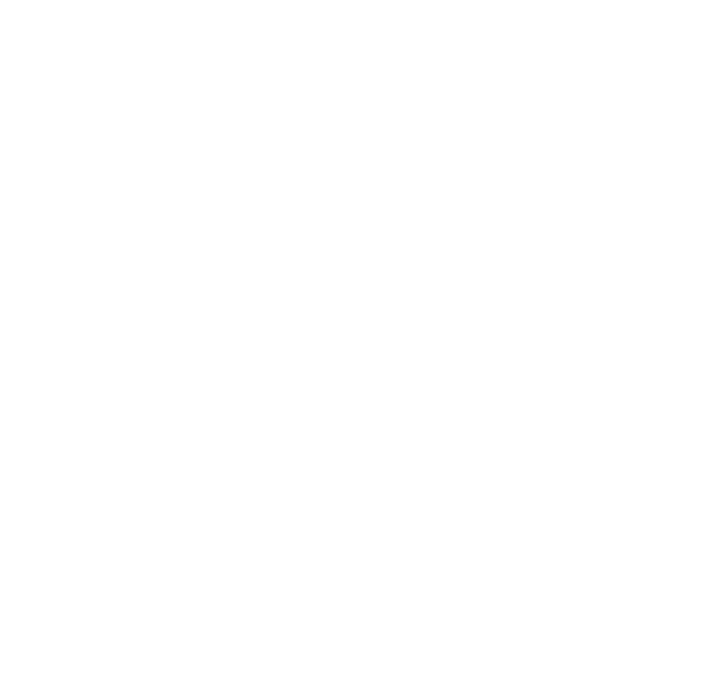 EntropicVoxels EntropicVoxels