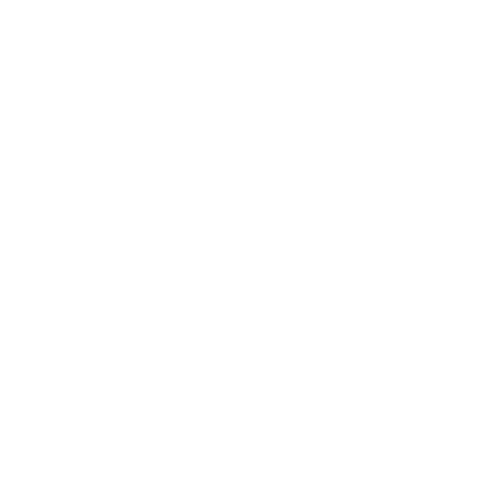 Son of The Mob Son of The Mob
